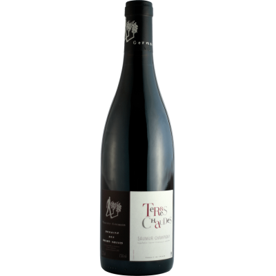 Domaine Thierry Germain "Terres Chaudes" Saumur  - BIO