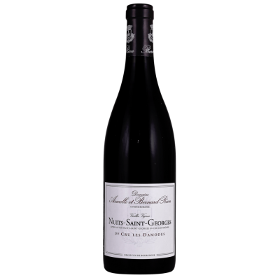 Domaine Armelle et Bernard Rion Nuits-Saint-Georges 1er Cru les Damodes 2020