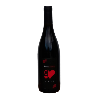 Mas de la Seranne Terrasses du Larzac Bonaventura 2019